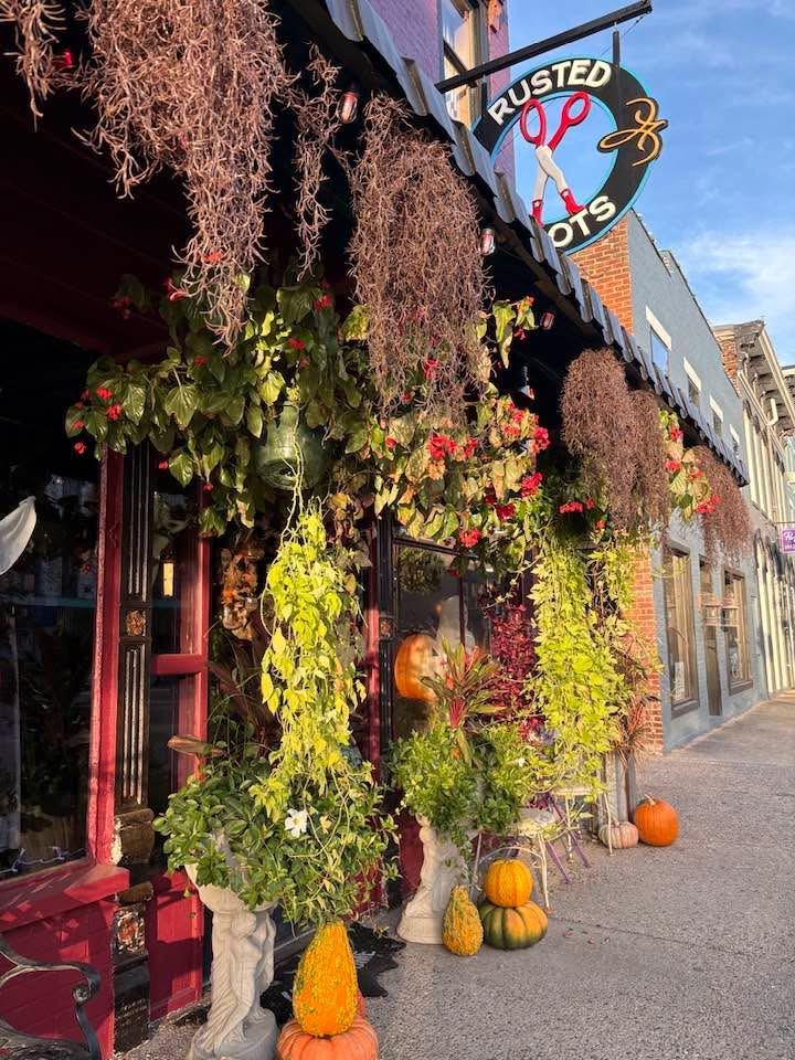 Storefront decorated with hanging plants and pumpkins in autumn